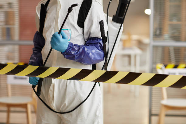 Professional Sewage Cleanup technician working in Tripp, SD